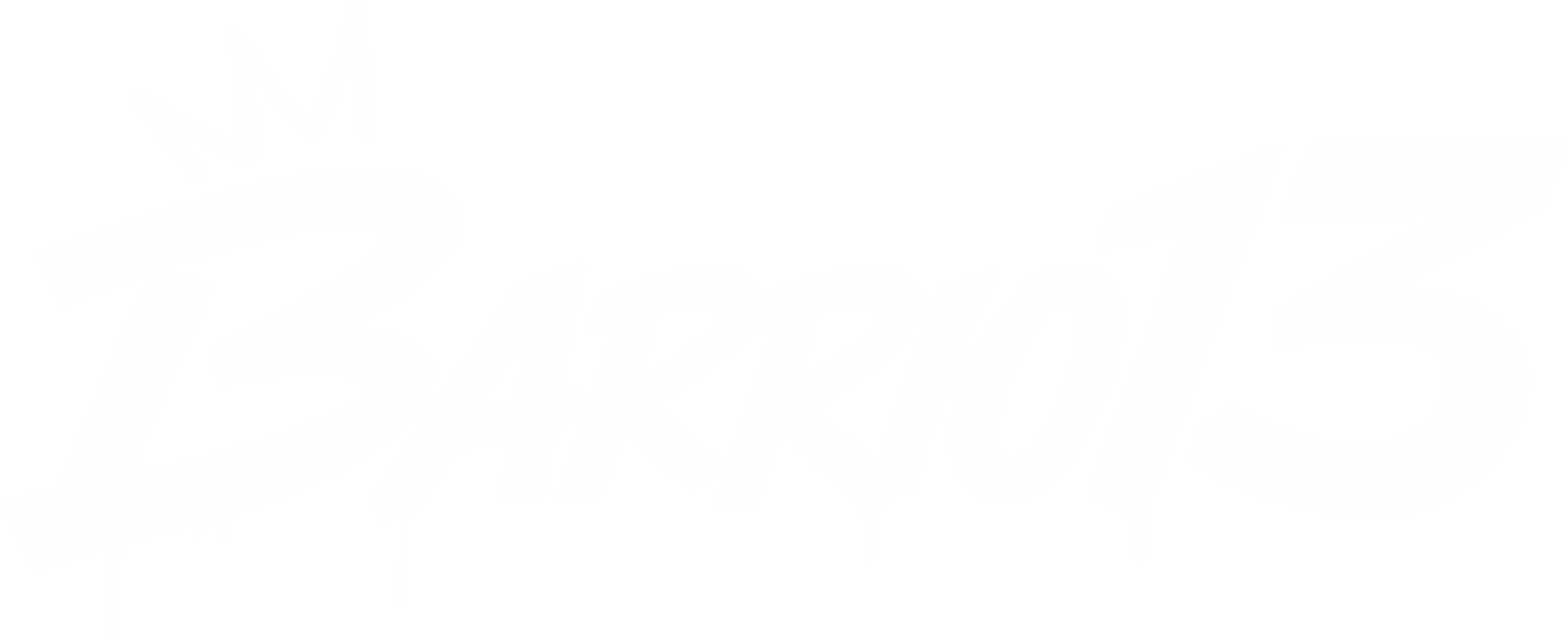 BARRIO 13